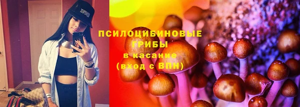 ешки Бронницы
