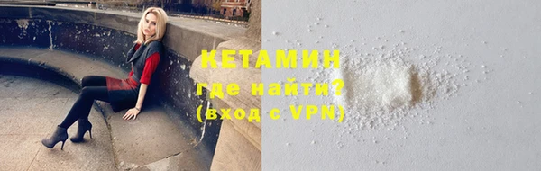 индика Бородино