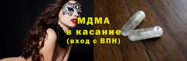 индика Бородино