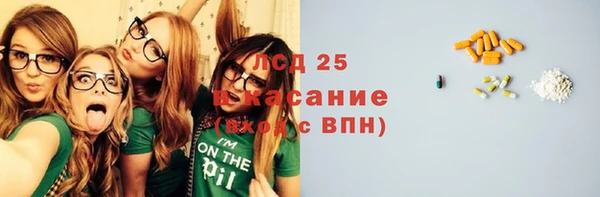 индика Бородино