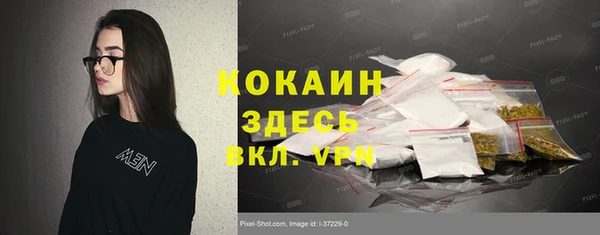 ешки Бронницы
