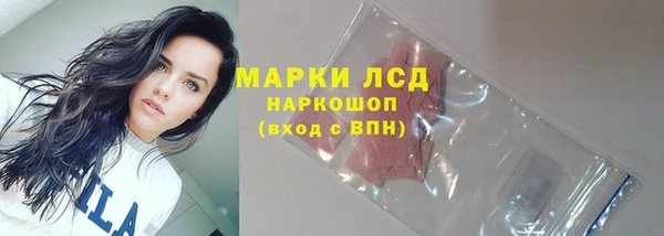 индика Бородино
