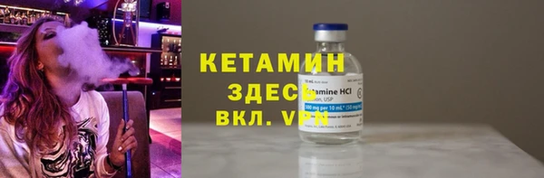 индика Бородино