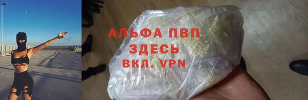 индика Бородино