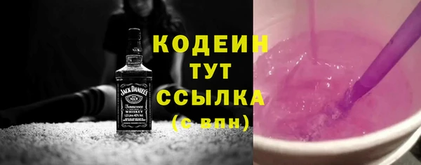 индика Бородино