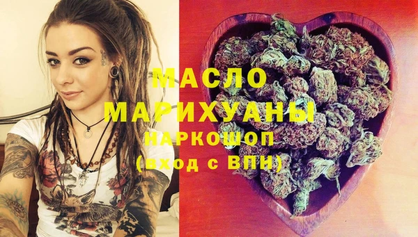 индика Бородино