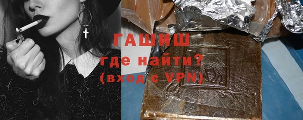 индика Бородино