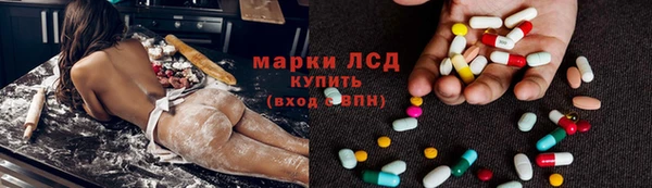 индика Бородино