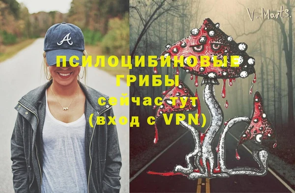 индика Бородино