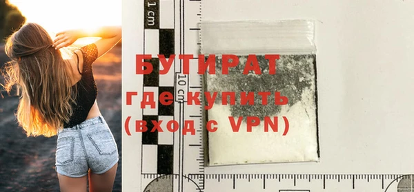индика Бородино